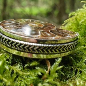 Ammonite fossilisée ou opalisée plaqué argent