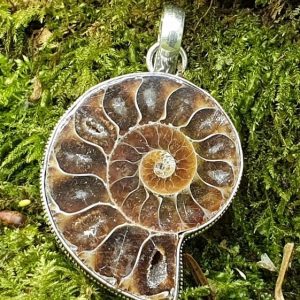 Ammonite fossilisée ou opalisée plaqué argent