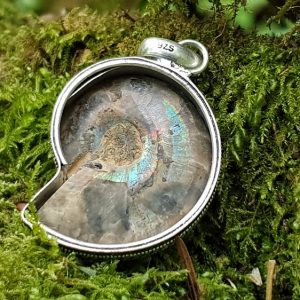 Ammonite fossilisée ou opalisée plaqué argent