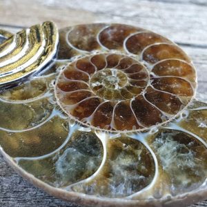 ammonite fossilisée ou opalisée montée en pendentif avec un oeil de tigre